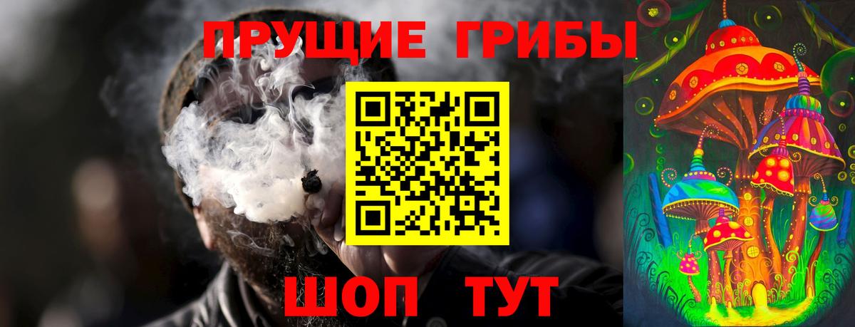 Галлюциногенные грибы прущие грибы Белорецк